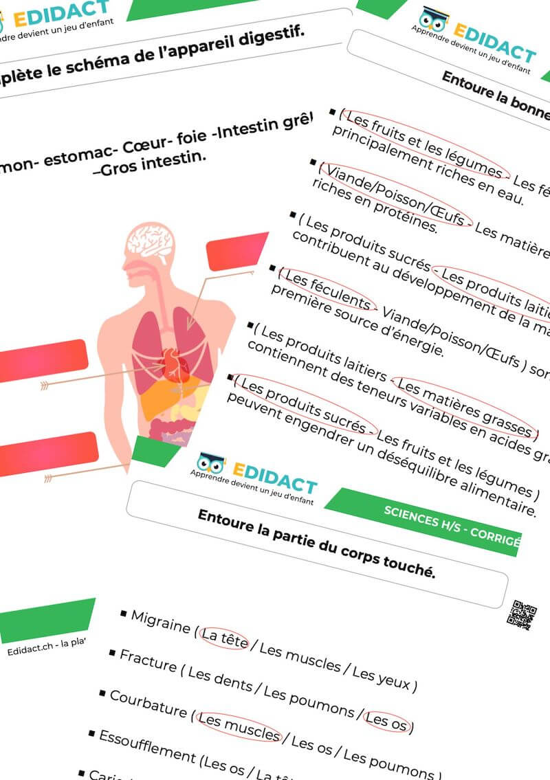 exercices fiches pdf sciences